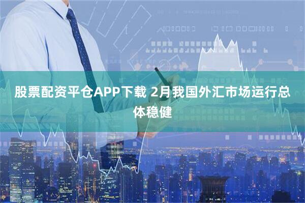 股票配资平仓APP下载 2月我国外汇市场运行总体稳健